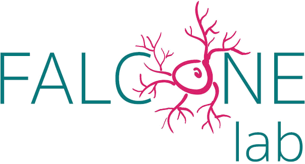 Falcone Lab